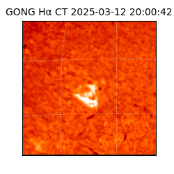 gong - 2025-03-12T20:00:42