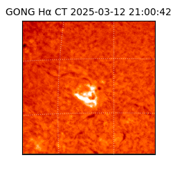 gong - 2025-03-12T21:00:42