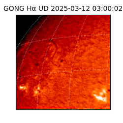 gong - 2025-03-12T03:00:02