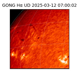 gong - 2025-03-12T07:00:02