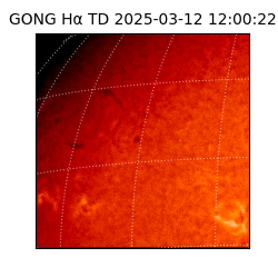 gong - 2025-03-12T12:00:22