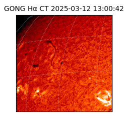 gong - 2025-03-12T13:00:42