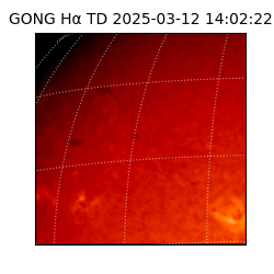 gong - 2025-03-12T14:02:22