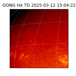 gong - 2025-03-12T15:04:22