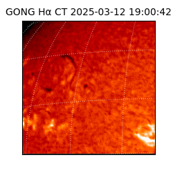 gong - 2025-03-12T19:00:42