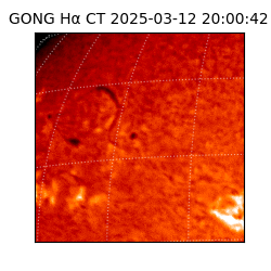 gong - 2025-03-12T20:00:42