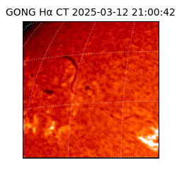 gong - 2025-03-12T21:00:42