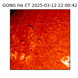 gong - 2025-03-12T22:00:42