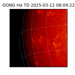 gong - 2025-03-12T08:09:22