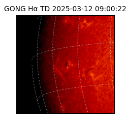 gong - 2025-03-12T09:00:22