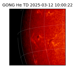 gong - 2025-03-12T10:00:22