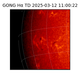 gong - 2025-03-12T11:00:22
