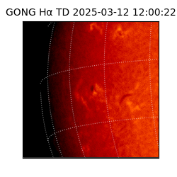 gong - 2025-03-12T12:00:22
