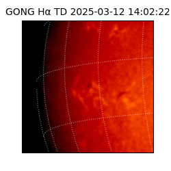 gong - 2025-03-12T14:02:22