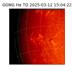 gong - 2025-03-12T15:04:22
