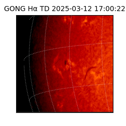 gong - 2025-03-12T17:00:22