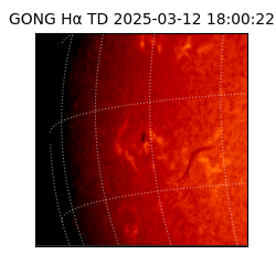 gong - 2025-03-12T18:00:22