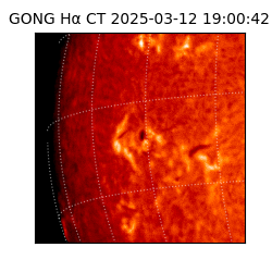 gong - 2025-03-12T19:00:42