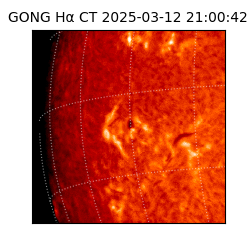 gong - 2025-03-12T21:00:42