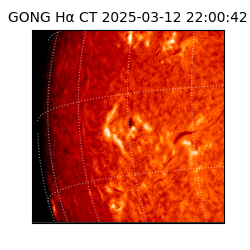 gong - 2025-03-12T22:00:42