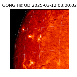 gong - 2025-03-12T03:00:02