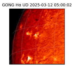 gong - 2025-03-12T05:00:02