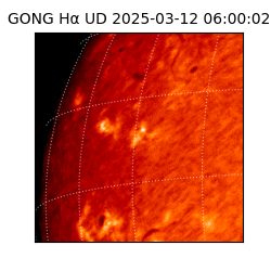 gong - 2025-03-12T06:00:02
