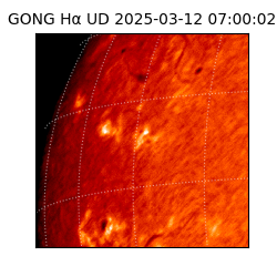 gong - 2025-03-12T07:00:02