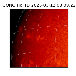 gong - 2025-03-12T08:09:22