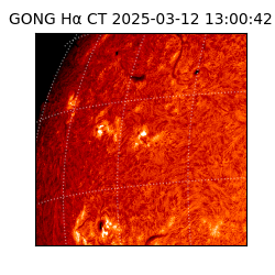 gong - 2025-03-12T13:00:42