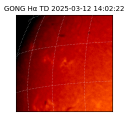 gong - 2025-03-12T14:02:22