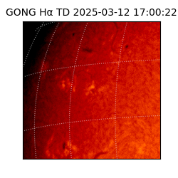 gong - 2025-03-12T17:00:22
