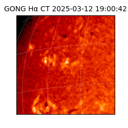 gong - 2025-03-12T19:00:42