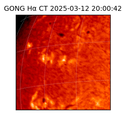 gong - 2025-03-12T20:00:42