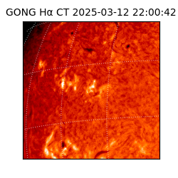 gong - 2025-03-12T22:00:42