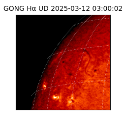 gong - 2025-03-12T03:00:02