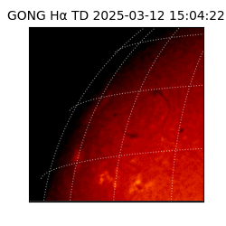 gong - 2025-03-12T15:04:22