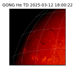 gong - 2025-03-12T18:00:22