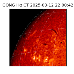 gong - 2025-03-12T22:00:42