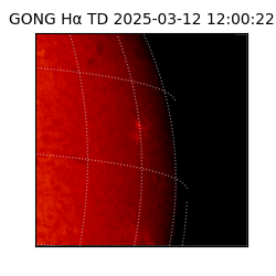 gong - 2025-03-12T12:00:22