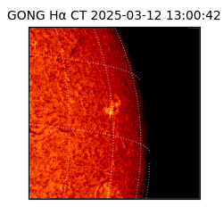 gong - 2025-03-12T13:00:42