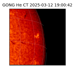 gong - 2025-03-12T19:00:42