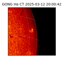 gong - 2025-03-12T20:00:42