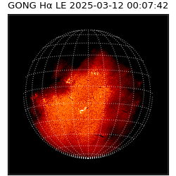 gong - 2025-03-12T00:07:42