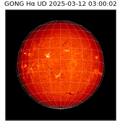 gong - 2025-03-12T03:00:02