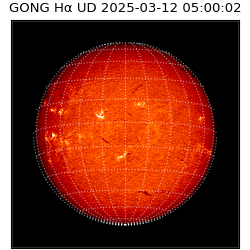 gong - 2025-03-12T05:00:02