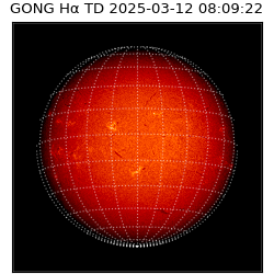 gong - 2025-03-12T08:09:22