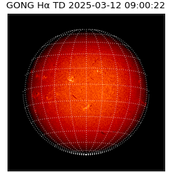 gong - 2025-03-12T09:00:22