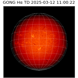 gong - 2025-03-12T11:00:22