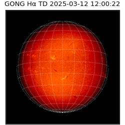 gong - 2025-03-12T12:00:22